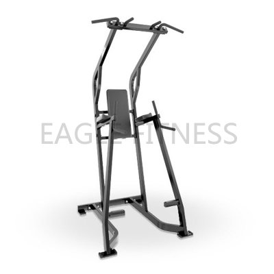 HS-38 Hammer-Strength-Fitness-Equipment-Chin-DIP-Leg-Raise